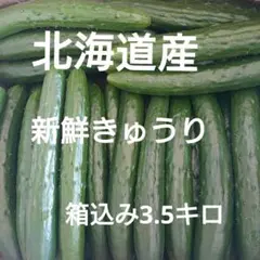 きゅうり 20キロ 20kg 農家直送 新鮮野菜 キュウリ 胡瓜 宮崎県産 きゅうり 1キロ 1kg 胡瓜 キュウリ 宮崎県産 新鮮野菜 - メルカリ