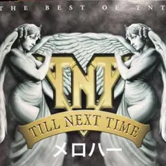 【複数購入割引有】TNT「TILL NEXT TIME」