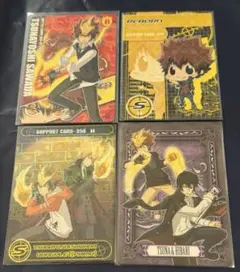 家庭教師ヒットマンREBORN! サザンクロスバトル　沢田綱吉