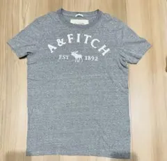 Abercrombie & Fitch グレー Tシャツ Sメンズアバクロ
