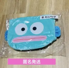 サンリオ　当たりくじ　ハンギョドン