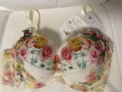 リボンブラ　WACOAL D75 ブラジャー