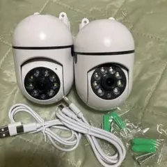 Item thumbnail for item 56f666c2-7dcc-4dba-8352-1f3bd0792b8d