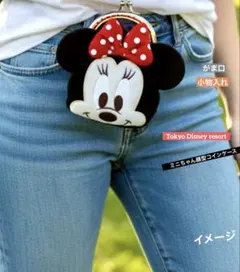 東京ディズニーリゾートミニーマウス 顔型コインケース　小物入れ