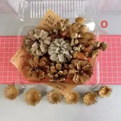 木の実セットo 松ぼっくり どんぐり 帽子