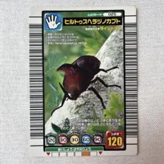 ムシキング 2003秋第3弾 パラレルコレクション ヒルトゥスヘラヅノ