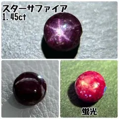 81324533_1