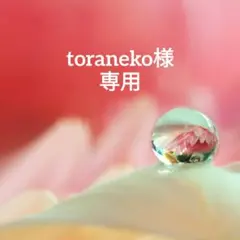 toraneko様 リクエスト 3点 まとめ商品