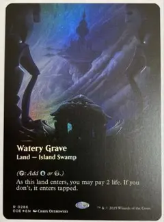 mtg 箔押し プロモ版 湿った墓 日語版 ４枚セット grn ギルドランド 2025年最新】湿った墓 Foilの人気アイテム - メルカリ