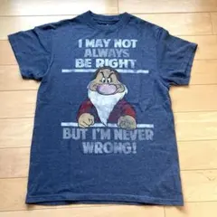 ディズニー Tシャツ Mサイズ 古着