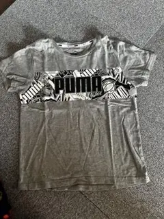 Puma グレー Tシャツ 140cm
