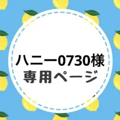 ハニー0730様専用ページ