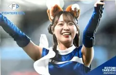 ファイターズガール 記念グッズ