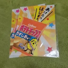 Item thumbnail for item 18802b5d-b0b2-476f-8457-7b29cd80aebb