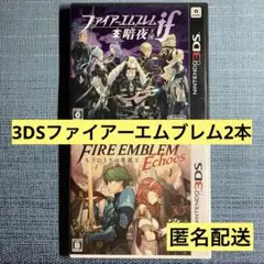3DS ファイアーエムブレム 暗夜王国 Echoes