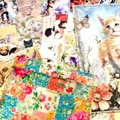 poyo☆彡猫ちゃん おすそ分けファイル 素材セット 軟質ケース ミニポケット付
