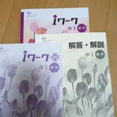 iワーク 中1 数学 問題集と解答　塾で使用
