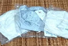 Item thumbnail for item c0ae82ab-b23b-4fe9-81f9-a077c9c4abe6