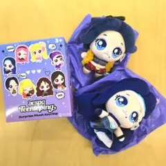 12点セットaespa ティニピンぬいぐるみキーリング　カリナ　ウィンター 韓国限定 aespa x ティニピン ランダム ぬいぐるみキーリング
