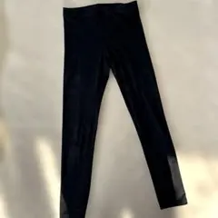 Item thumbnail for item 98cdada1-0ce5-46a3-870f-349e49511241