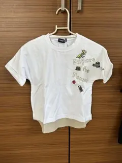 kladskap クレードスコープ　キッズTシャツ　昆虫110