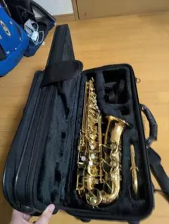 【美品】J.Michael アルトサックス GATORケース セルマーMP付 美品】J.Michael アルトサックス GATORケース セルマーMP付 - メルカリ