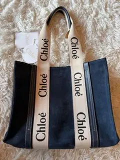 Item thumbnail for item 33e09b3d-4945-408d-9723-3c90383c8fcb