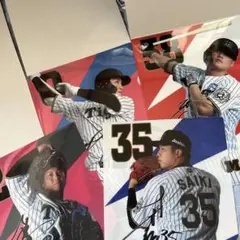 阪神タイガースクリアファイルセット　木浪聖也　梅野隆太郎　才木浩人　前川右京