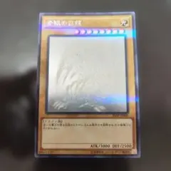 2026年最新】遊戯王 ホログラフィック 青眼の亜白龍 RC02の人気