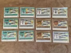 ポケモン エメラルド バトルカードe 12枚セット
