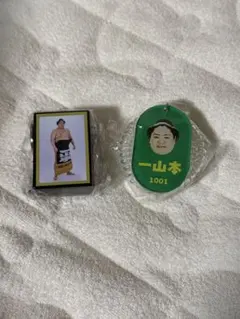 Item thumbnail for item 5a80a038-3796-4c42-a1fc-0381e8540f31