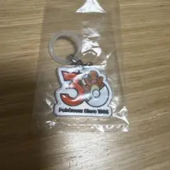 ポケモン 30周年 メタルチャームマスコット ヒトカゲ