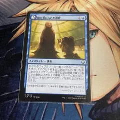 MTG 積み重ねられた叡智