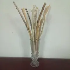 Item thumbnail for item 4c9ceb4d-f91a-4df3-8d12-6a049a2c8a83