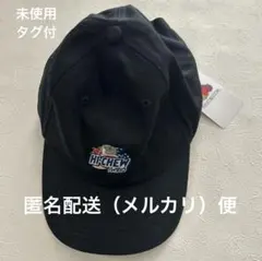 に*ー様 別注フルーツオブザルーム　ユナイテッドアローズHI-CHEWロゴ刺繍キのサムネイル