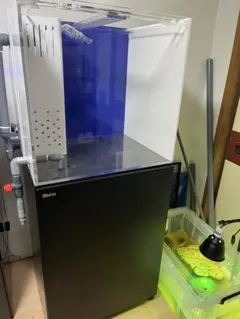 2026年最新】水槽 引き取りの人気アイテム - メルカリ