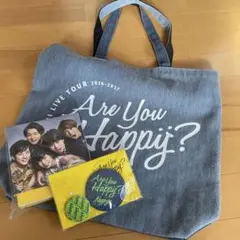 嵐 Are You Happy? CD+特典