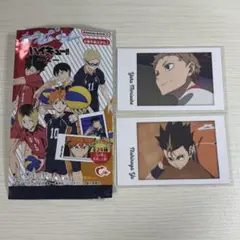 ハイキュー‼︎ キャラポトレ2 西ノ谷夕　夜久衛輔