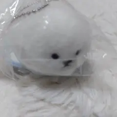 ビションフリーゼ　てのひらサイズ　ぬいぐるみ　ガチャ