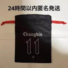 スキズ チャンビン 巾着ポーチ dominate VR