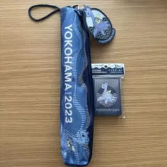ポケモンワールドチャンピオンシップス 2023 横浜 記念 ラプラスのサムネイル