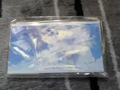 Item thumbnail for item 51888d68-3a0c-4769-b689-d3c24af536c9