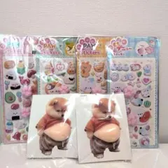 新品 ぷにぷに肉球シール＋お腹シール セット 3D立体 もちもち 動物
