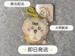 ちいかわ Chiikawa Baby マスコット(シーサー)