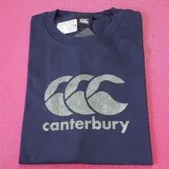 Item thumbnail for item 0303d58d-8b2e-4d08-ba9e-35361baf8a6c