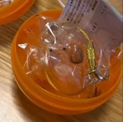 限定アソート　うちの子のけだまだま　犬　ミックス