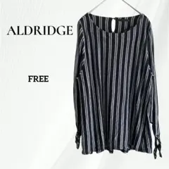 ALDRIDGE ストライプ 七分袖カットソー　テンセル　ブラック　柔らか　Ｆ