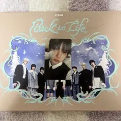 &team harua タレントカード