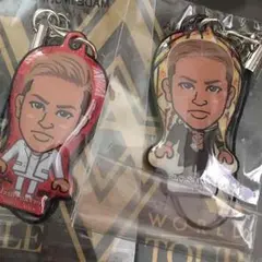 値下げ！三代目 ELLY クリーナー イニミニ 秋桜