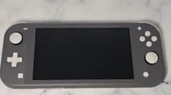 Nintendo Switch Lite グレー 本体(ハードポーチ付き)